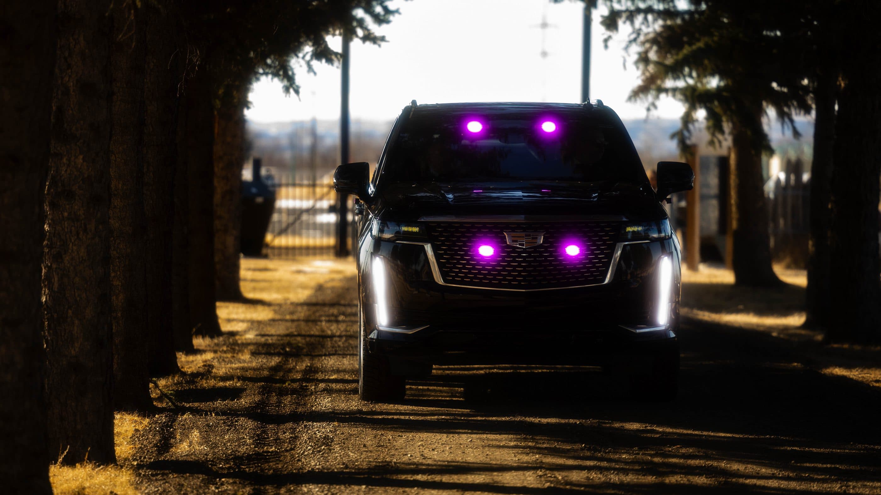 A hearse waiting beneath tall trees on a cemetery road